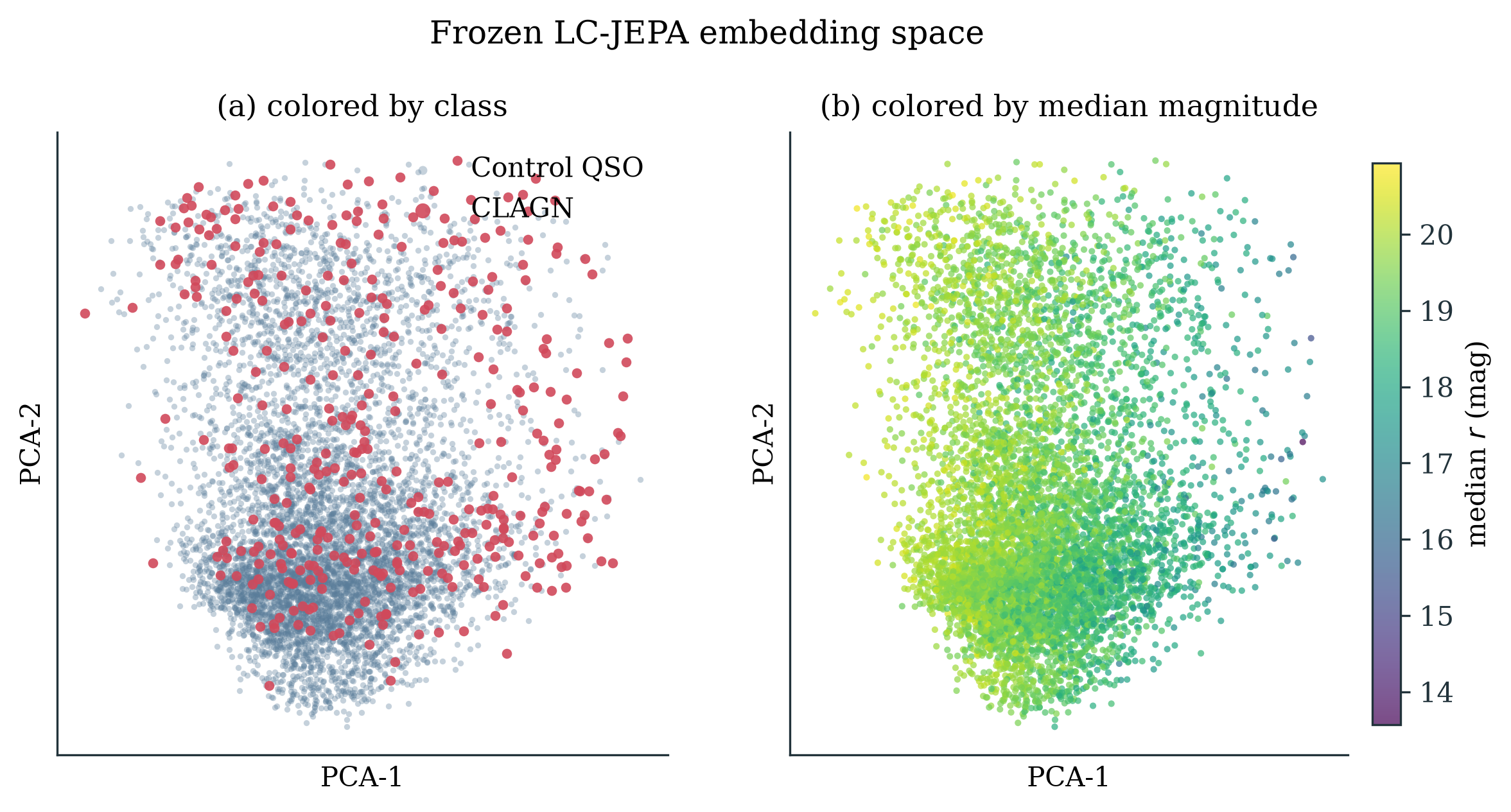 UMAP Embeddings